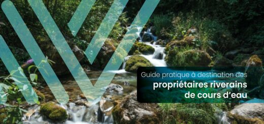 couverture du guide prayique à destination des propriétaires riverains de cours d'eau : une cascade d'eau sur fond végétaux
